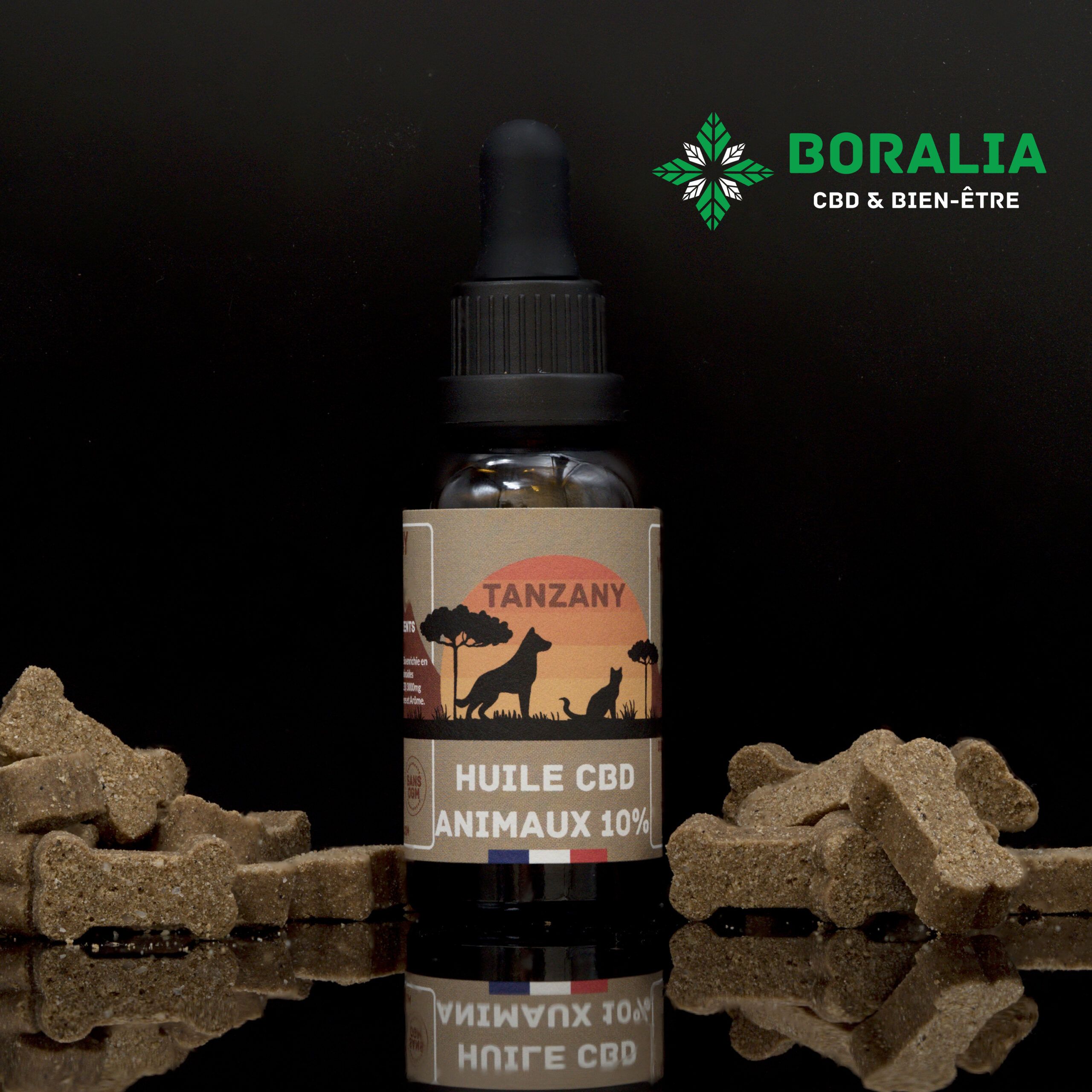 Flacon d’huile CBD animaux 10 % Tanzany entouré de friandises